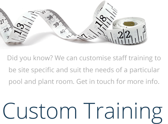 Custom Training