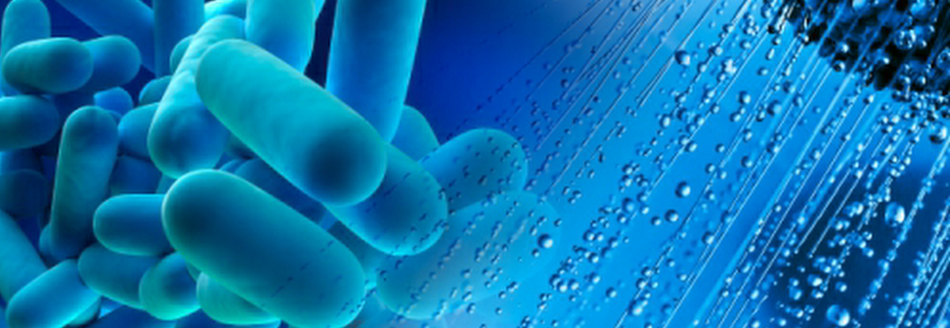 Legionella: Are you covered?